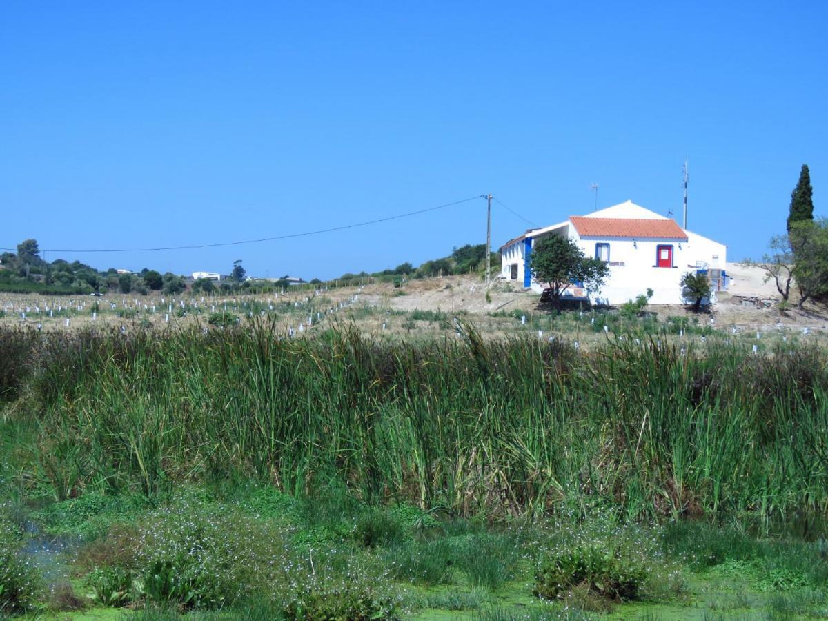 Vale Do Boto-Quinta Com 3 Casas Villa คาสโตรมาริม ภายนอก รูปภาพ