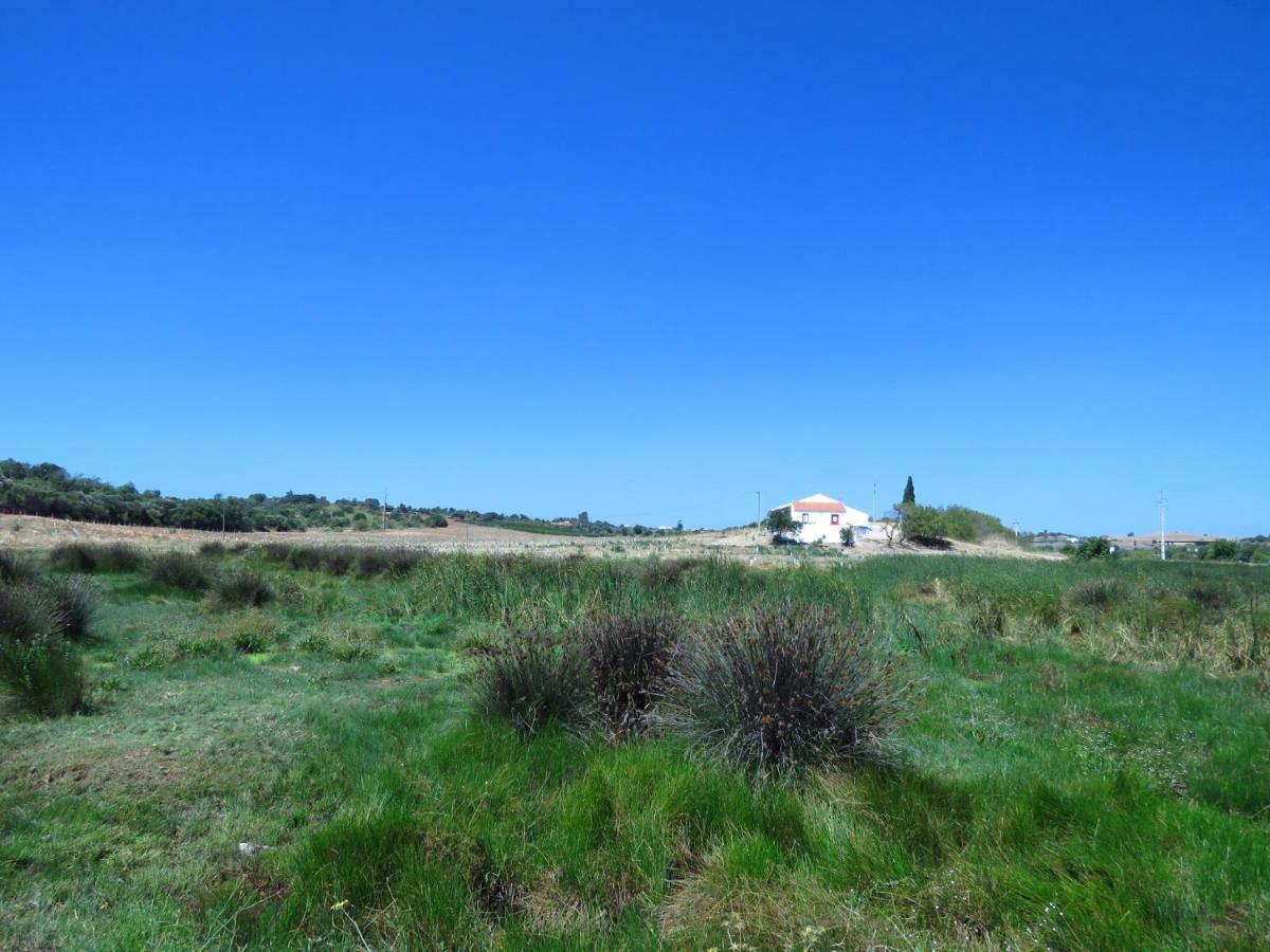 Vale Do Boto-Quinta Com 3 Casas Villa คาสโตรมาริม ภายนอก รูปภาพ
